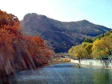 新澳天天开奖资料大全旅游团，御泥坊好用吗